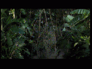 doc0236.gif